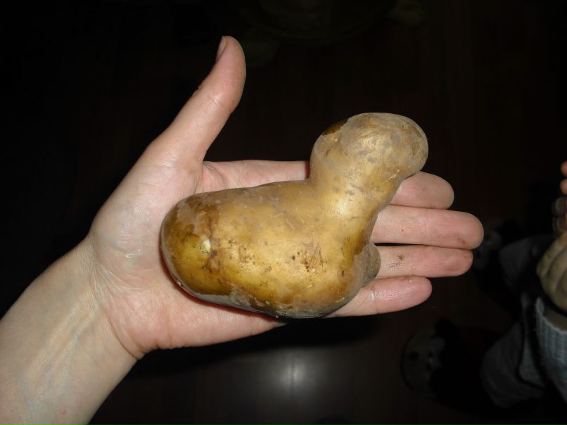 Антон Тюхай 2LENb | Мариуполь