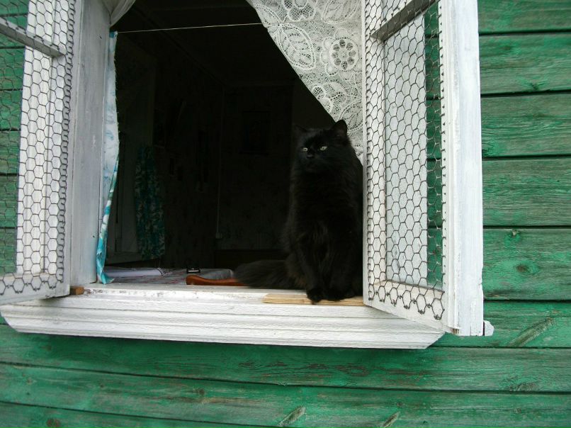 Сергей Паршин ZVEZDEC | Томилино