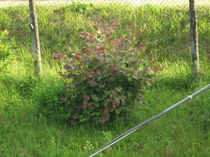 Сергей Паршин ZVEZDEC | Томилино