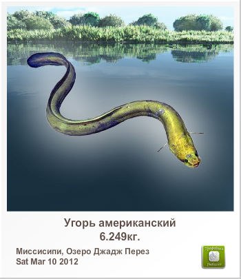 Анатолий Губарев | Краснодар