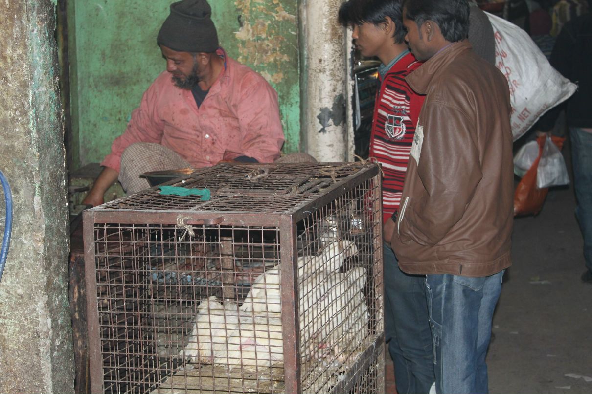 Александр Сисекин @nchou_u$ | Саратов