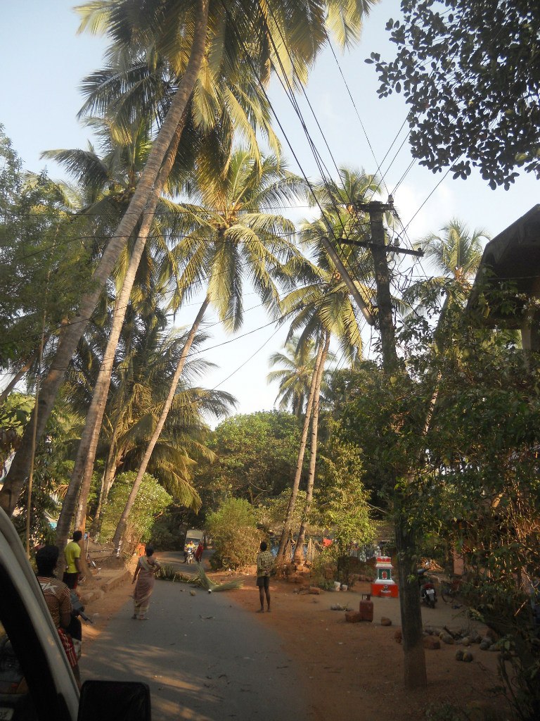 Марина Спиридонова Koshatina | Пермь