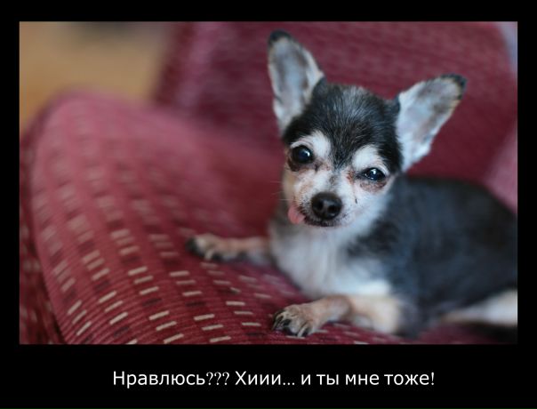 №101, Антон Резаков, 40 лет, Сыктывкар №101, Антон Резаков, 40 лет, Сыктывкар