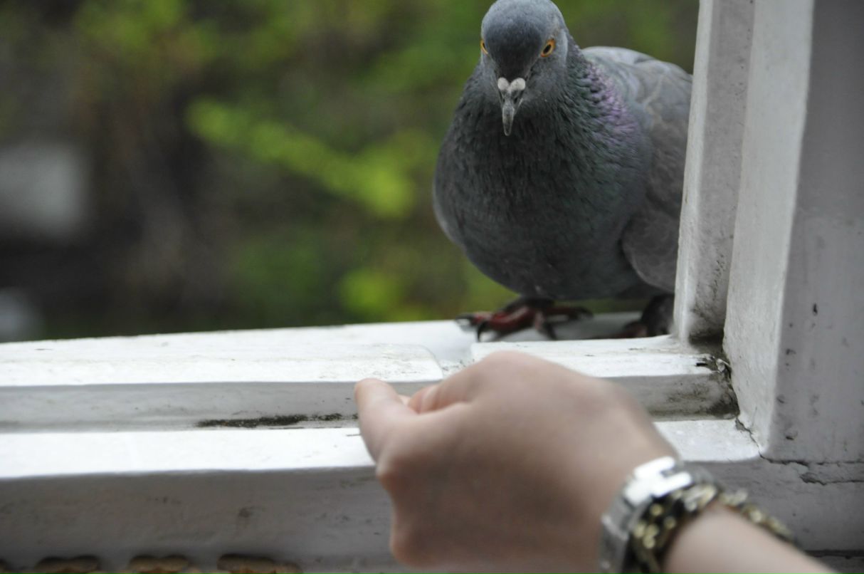 Айгерим Сарсамалиева | Алматы