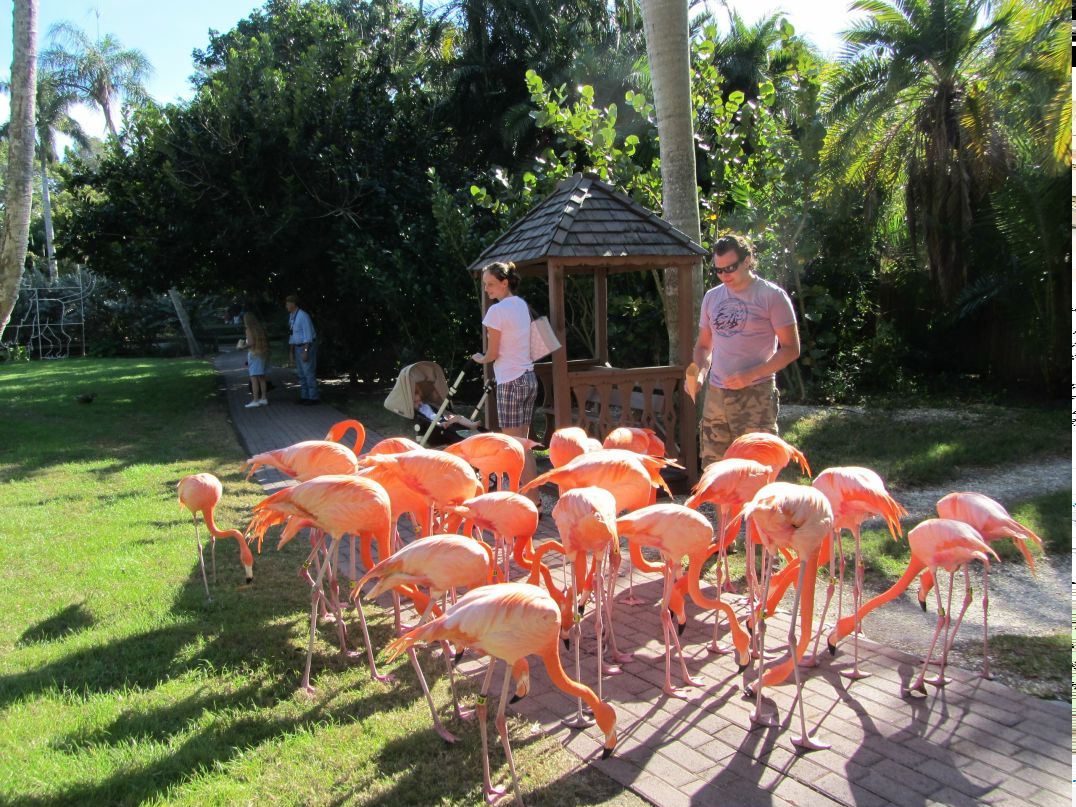 Марьяна Шумакер | Санкт-Петербург