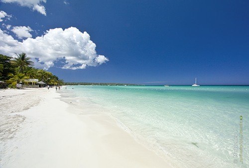 Анна Никитина -=nikas=- | Москва