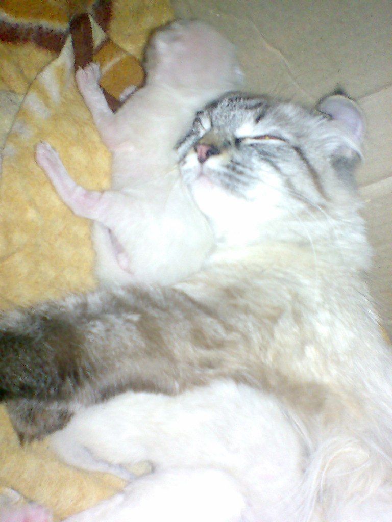 Марина Лебедева | 