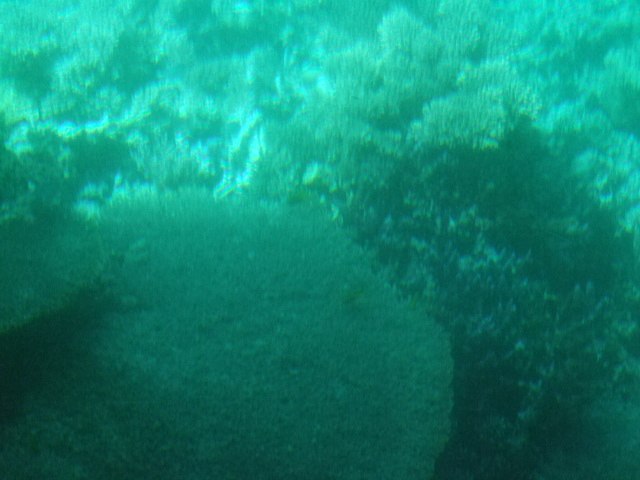 Сергей Кузнецов | Москва