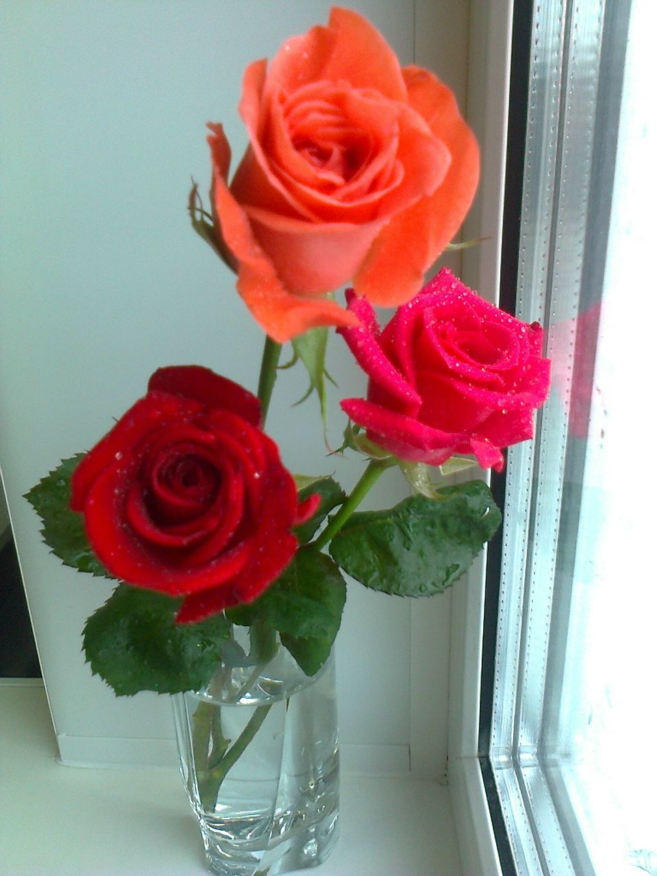 Сэсэг Бадмацыренова | Иркутск