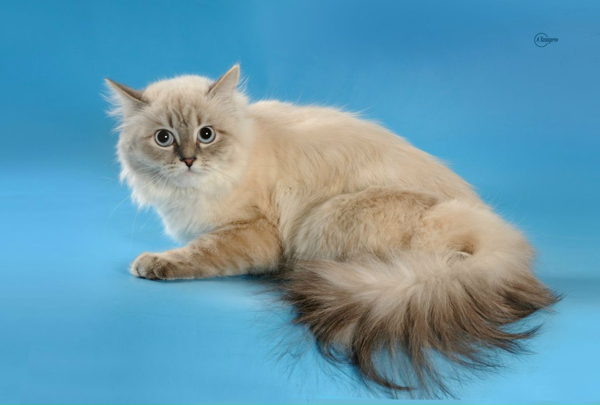 Виталий Зозуля | Мелитополь