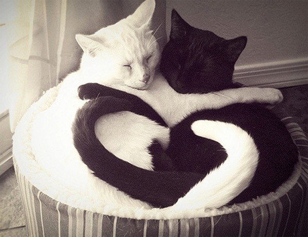 Виктория Муськина | Москва