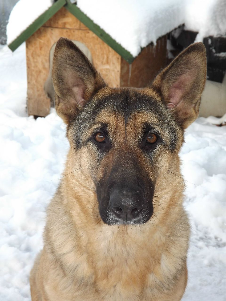 Сергей Ташкинов | Первомайск
