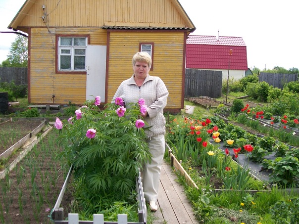 №20, Татьяна Шабанова №20, Татьяна Шабанова