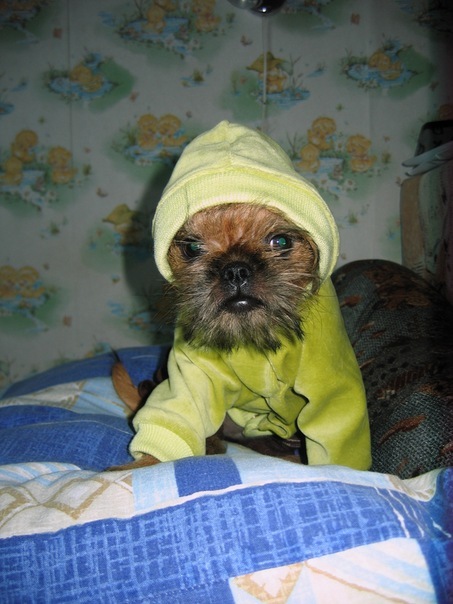 №64, Людмила Романова, Петрозаводск №64, Людмила Романова, Петрозаводск