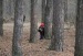 Александр Суханов фотография #40 (источник - https://vk.com/id7764145)
