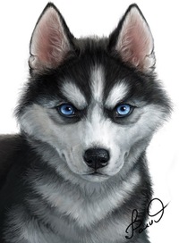 Татьяна Морозова