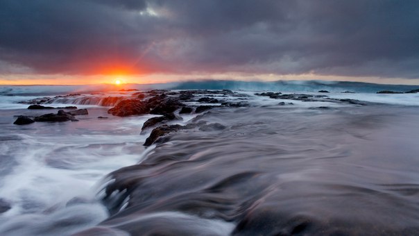 Дарина Сотникова, Россия, Москва