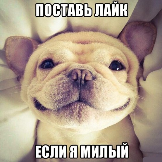 Ярик Шадский, Россия, Москва