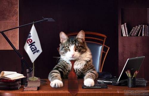 Иван Микаэялн, Россия, Москва