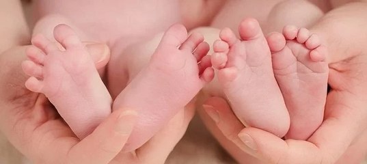 Маймыл ойын автоматтары тіркеусіз тегін онлайн режимінде ойнай алады чукча мылтық
