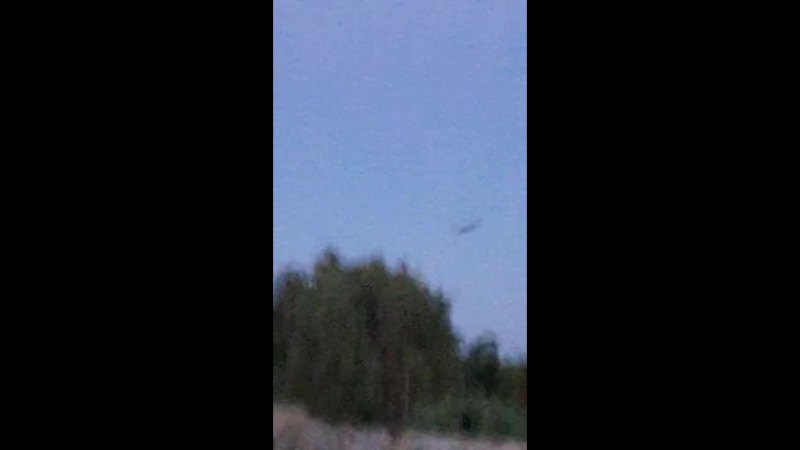 Медведь на кусту 249 г