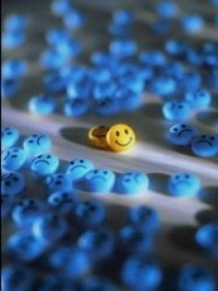 №6, Андрей Секачев, Воронеж №6, Андрей Секачев, Воронеж