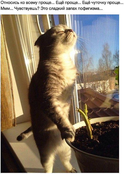 Sergey Saxon, Россия, Москва