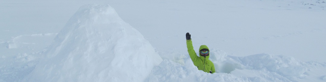 Соревнования по постройке иглу