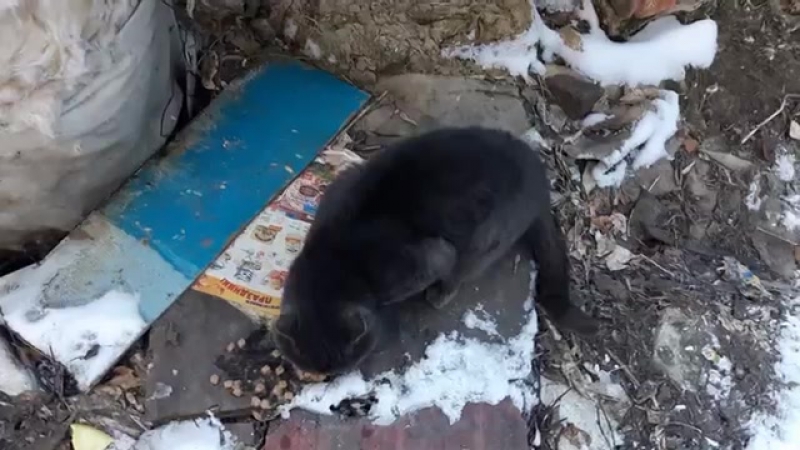 с днём рождения, сыночка