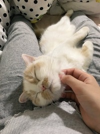 Наталия Горшкова