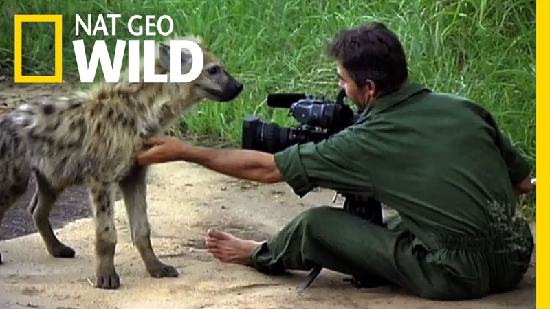 Inside the Hyena Feast, Nat Geo