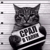 Михаил Владимирович