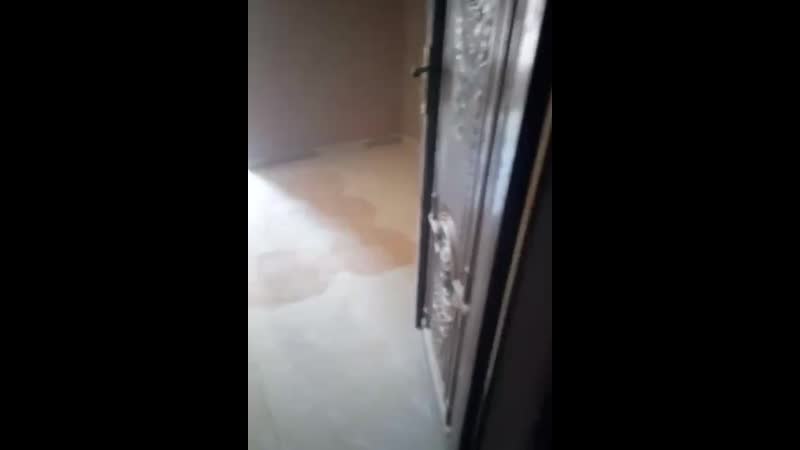 VIDEO-2019-05-05-07-22-48.mp4