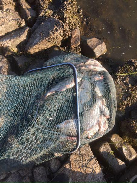 Рыбалка — Цимлянское водохранилище, Волгоградская область, 48.639, 43.587