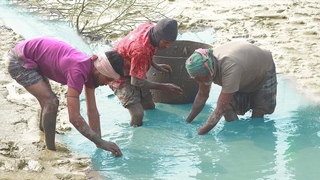 Unbelievable Big Fish catching with Hand in Mud Water | Fishing Pond