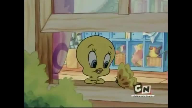 Baby Looney Tunes Season 1 Episode 12 Shadow of a Doubt and Christmas in