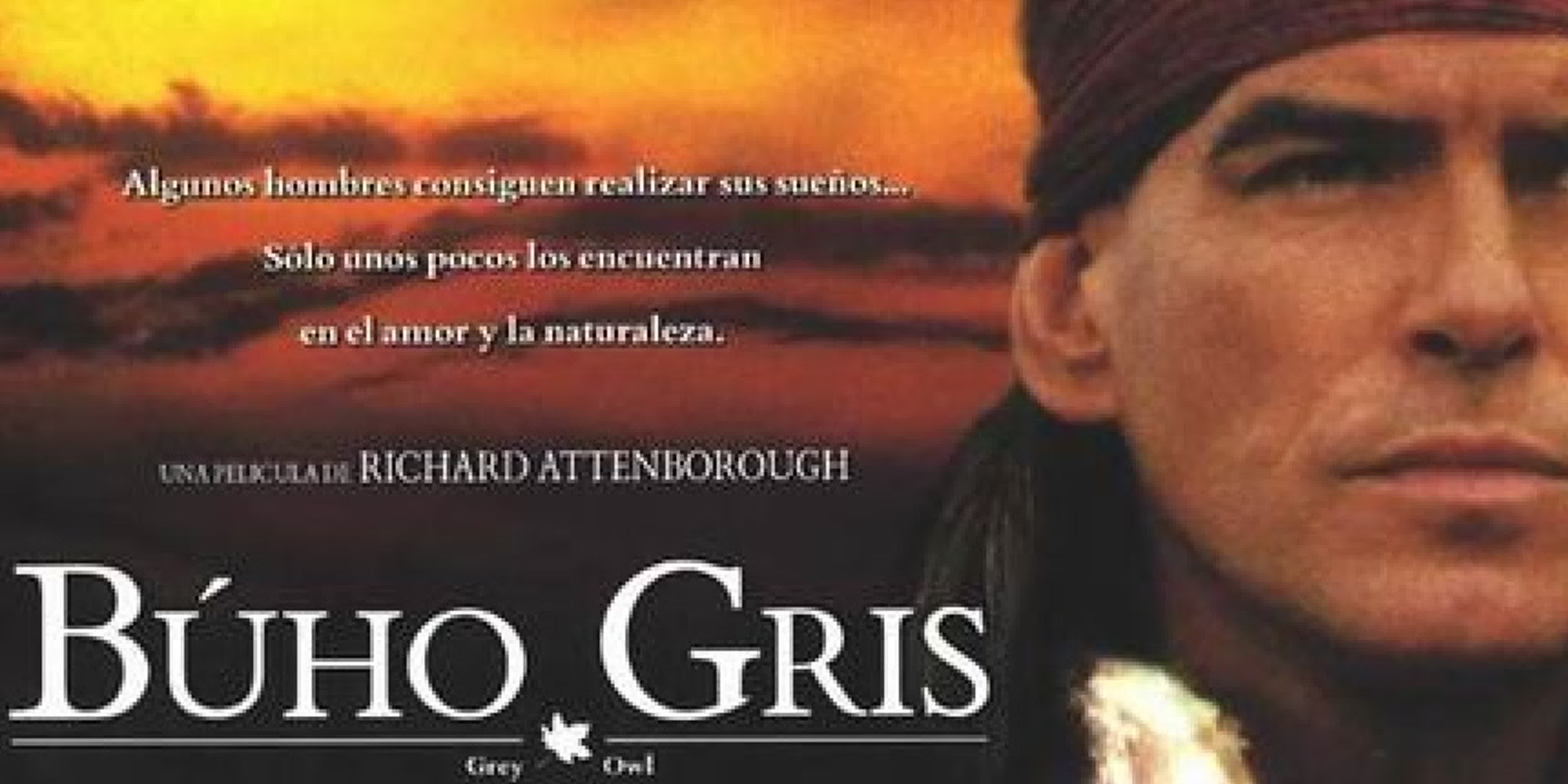 Grey Owl (Buho Gris) (1999) (Español)