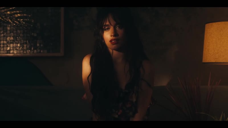 Shawn Mendes, Camila Cabello