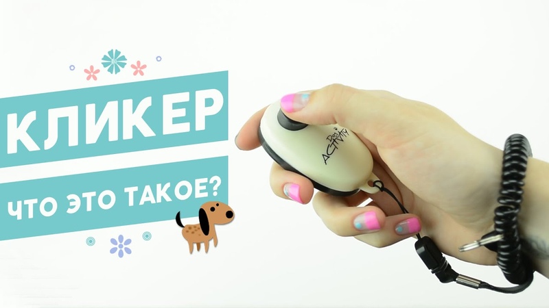 Fast mouse. Кликер клики в секунду. Тест speed autoclicker. Кликер. Кликер картинка.