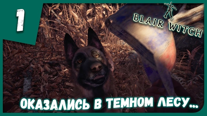 ОКАЗАЛИСЬ В ТЕМНОМ Blair Witch, 1