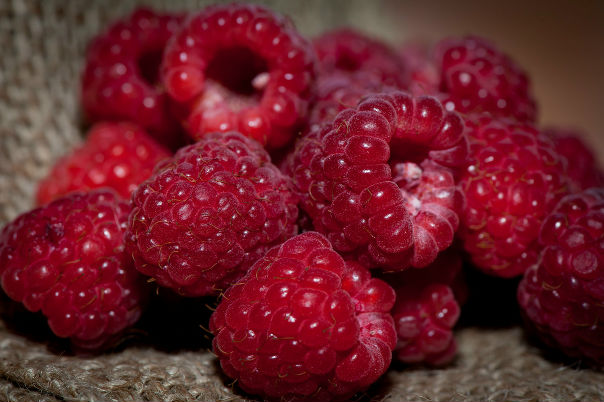 Ягода малина. Я года малинка. Я года малинка. Сочная ягода. Сочная ягода.