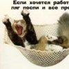 Аватар: Вииктор Student