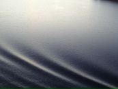 Фотография Светлана Коваленкова