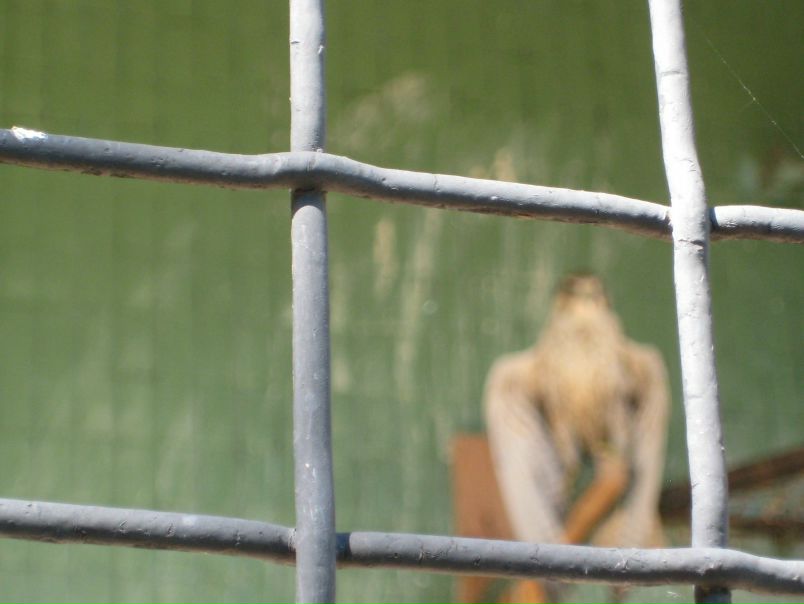 №23, Танюша Шуляр, Житомир №23, Танюша Шуляр, Житомир