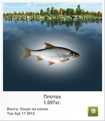 Вячеслав Кремов | Харьков