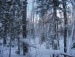 Колка Пашковский фотография #20