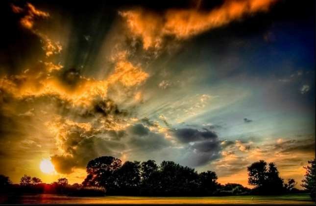 Natalia Nykytiuk | Roma