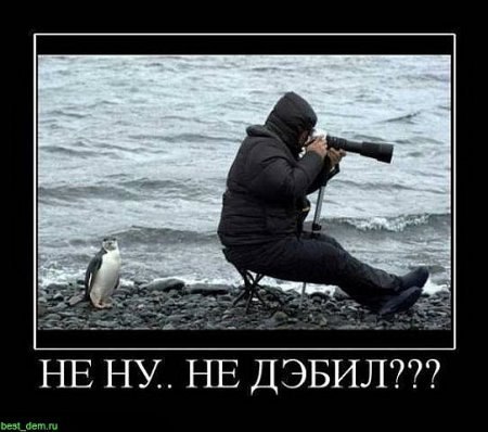 Anton Genkin | Харьков