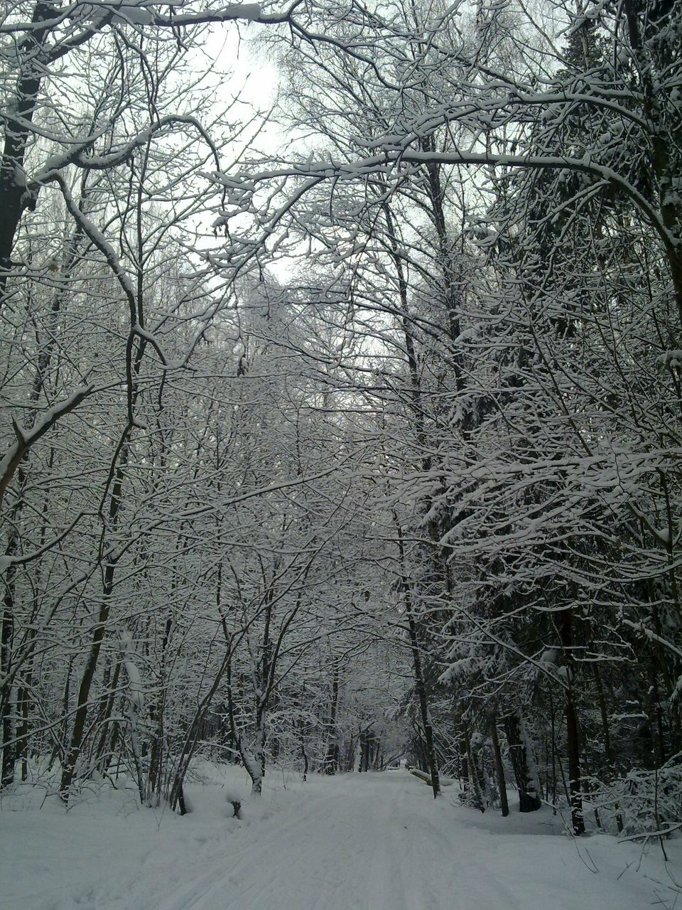 Оксана Эргардт | Москва