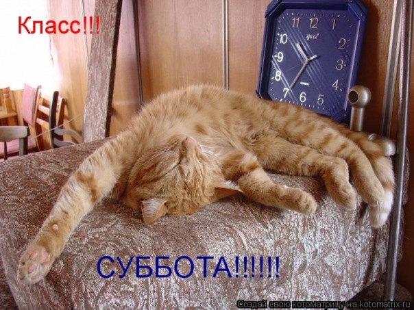 №4, Денис Суворов, 41 год, Пермь, Россия №4, Денис Суворов, 41 год, Пермь, Россия